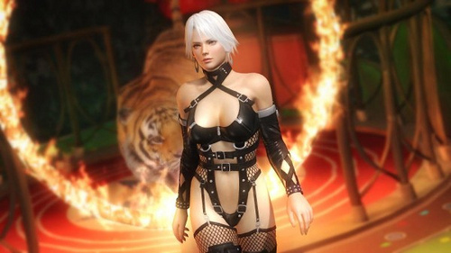 Dead or Alive 5 - Dead Or Alive 5 Plus - на PS Vita в 2013 году